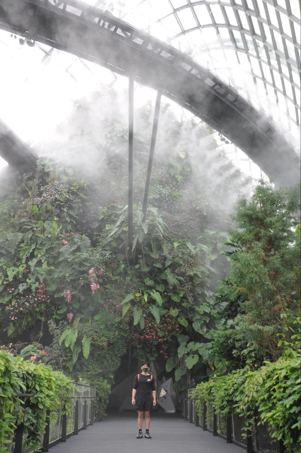 gardens by the bay cloud forest mist