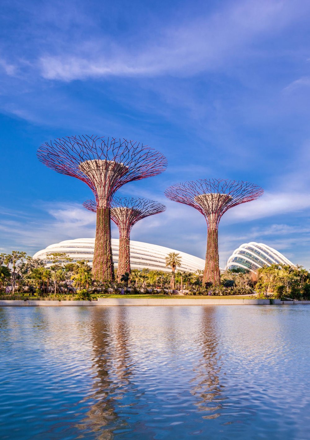 gardens by the bay supertree grove