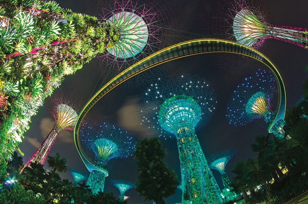gardens by the bay lightshow