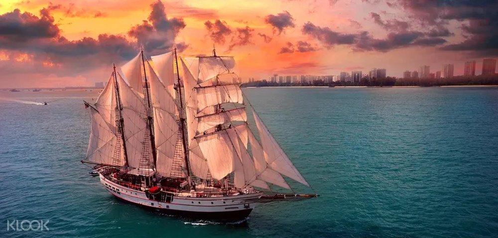 royal albatross sunset sail