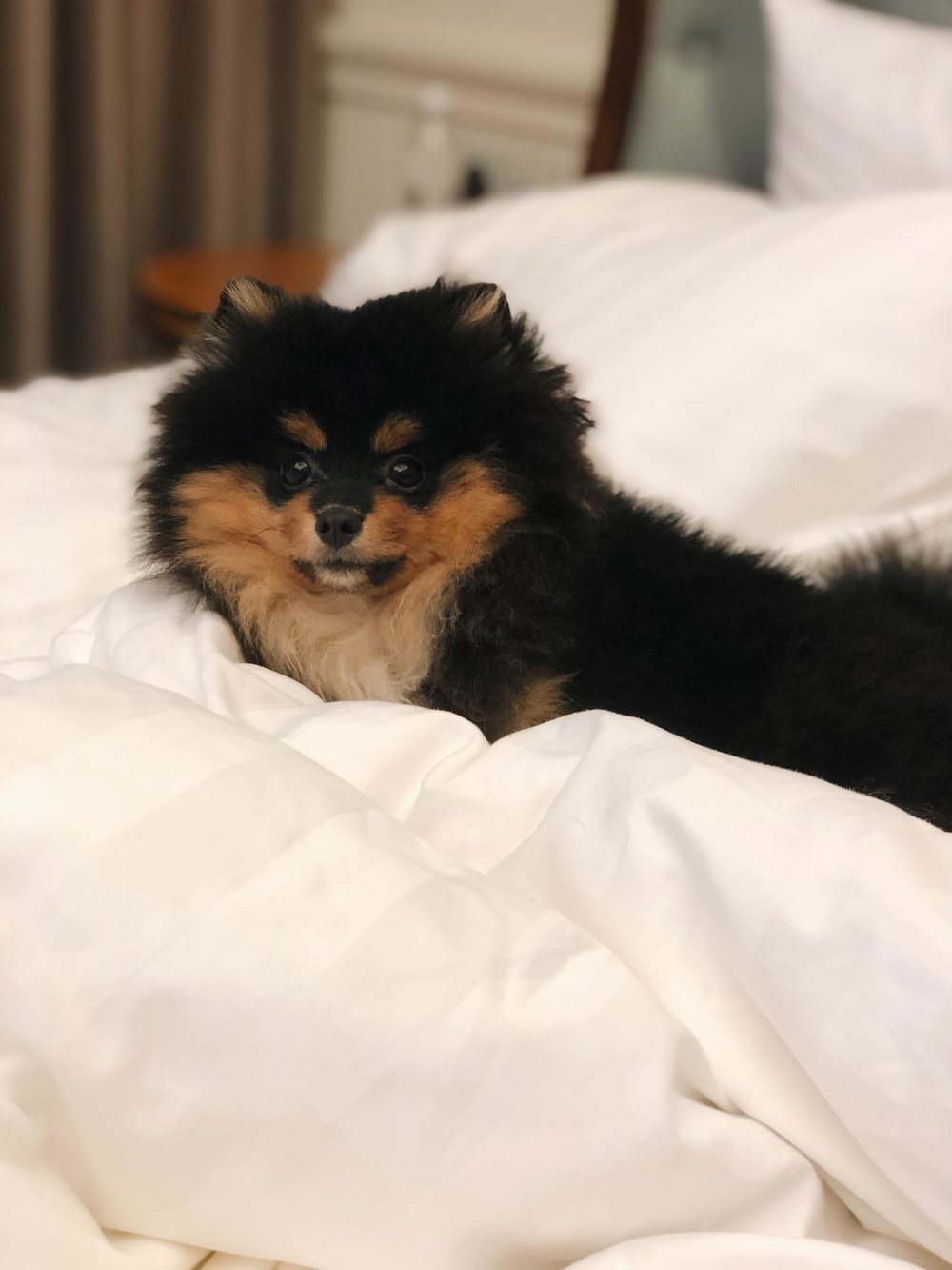 intercontinental singapore staycation review