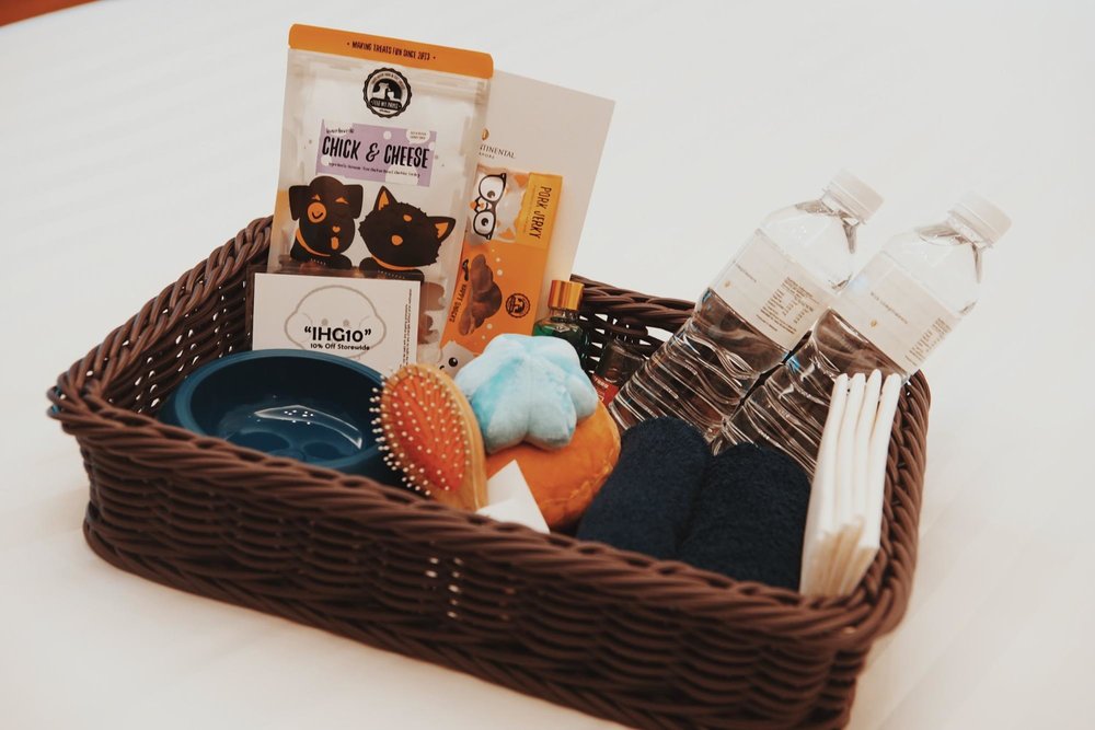 pet friendly staycation intercontinental singapore