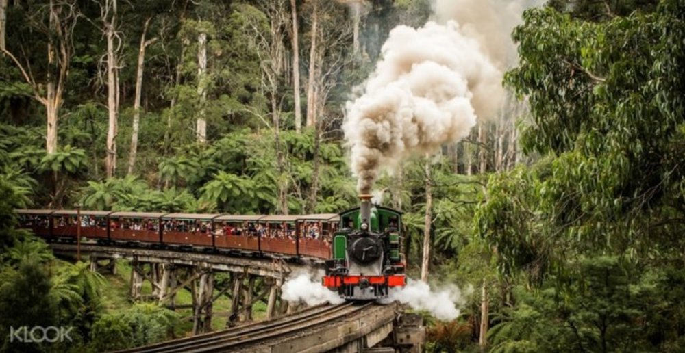 Puffing Billy Steam Train