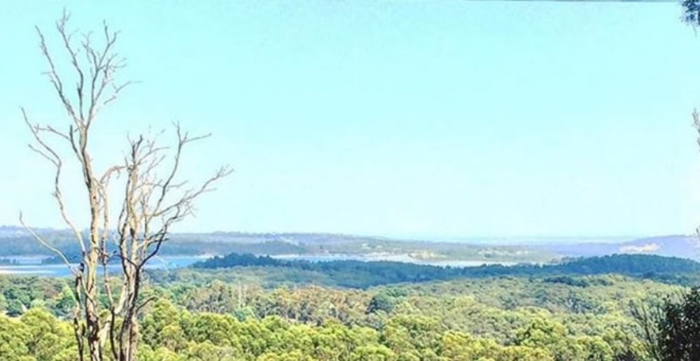 Views from Puffing Billy