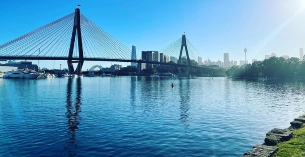 Blackwattle Bay Park picnic