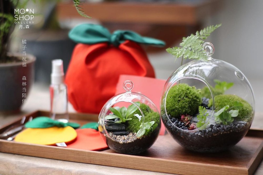 cny gift kl delivery terrarium 