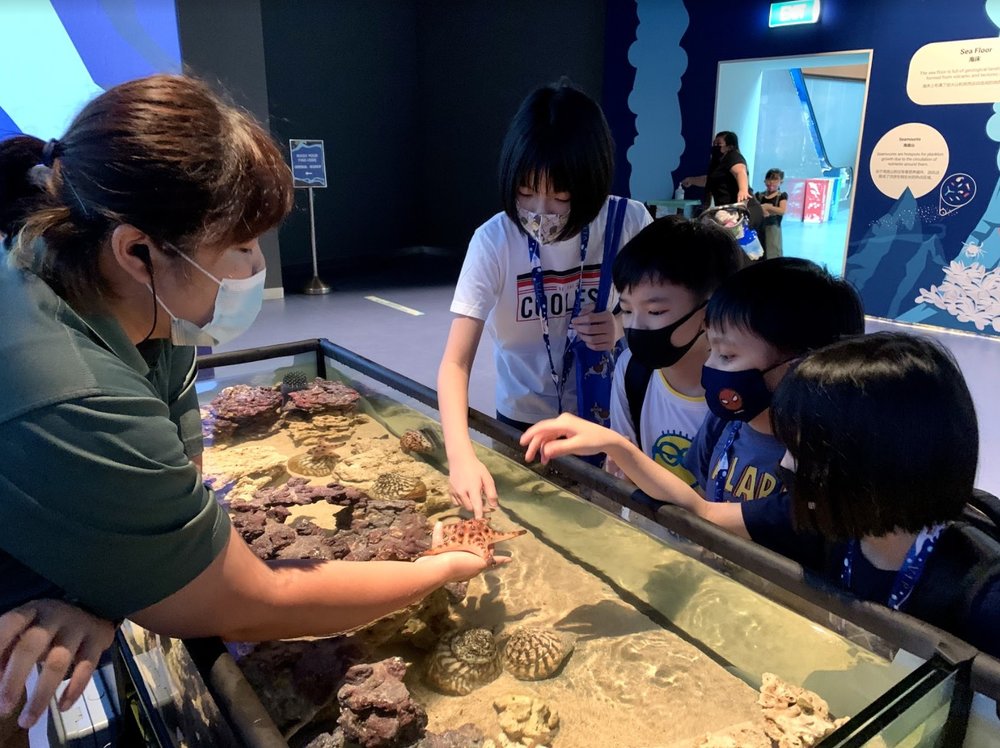 S.E.A. Aquarium Singapore