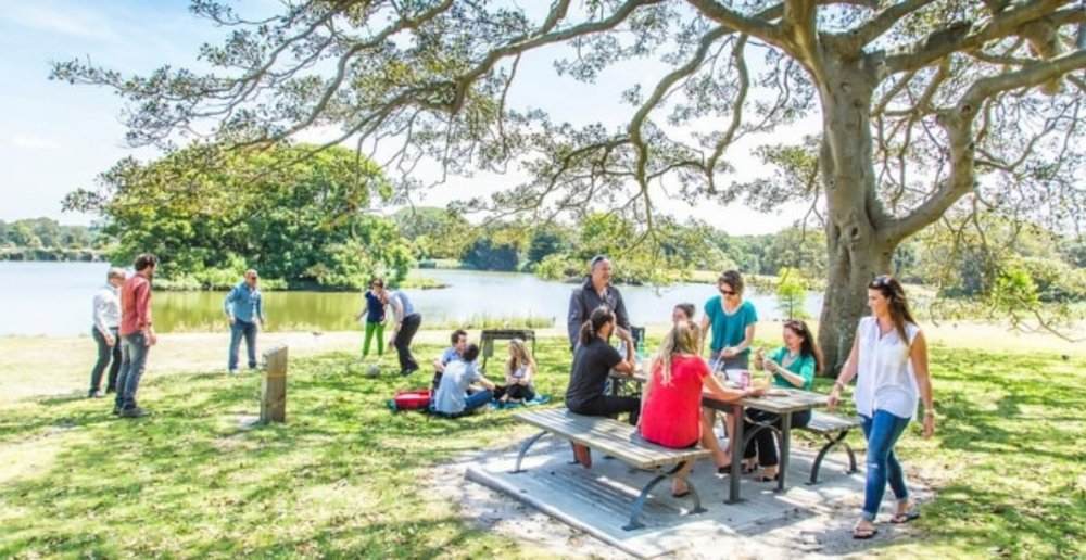 The 10 Best Picnic Spots in Sydney with a View Klook Travel Blog