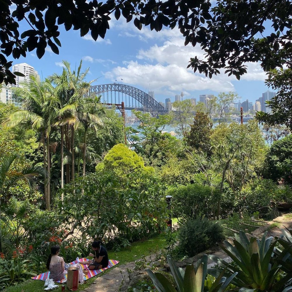 Wendy's Secret Garden