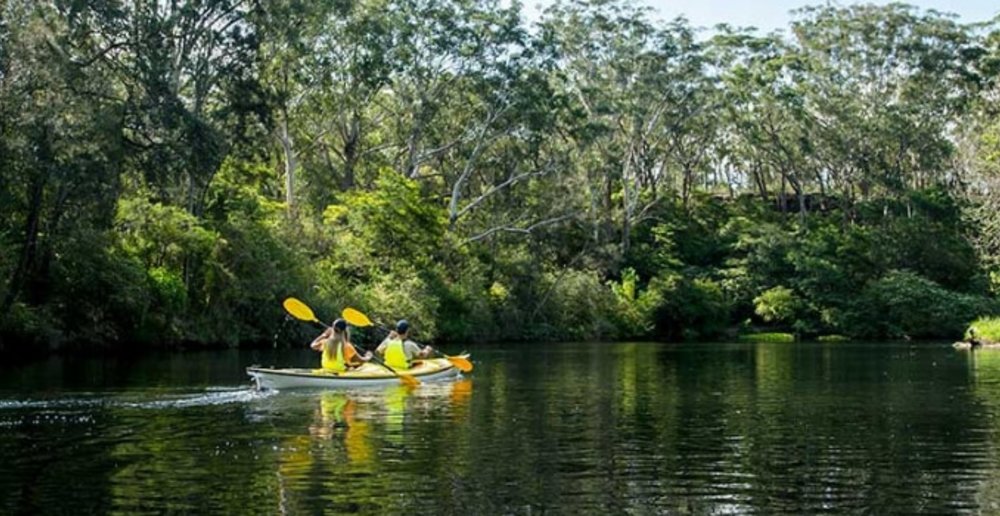 The 10 Best Picnic Spots in Sydney with a View - Klook Travel Blog