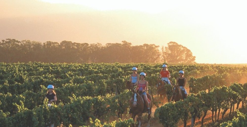 Hunter Valley Resort