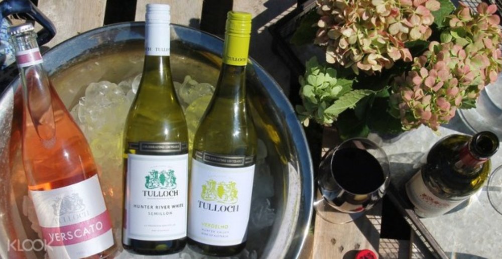 Tulloch Wines