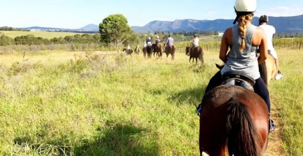 Hunter Valley Horse ride