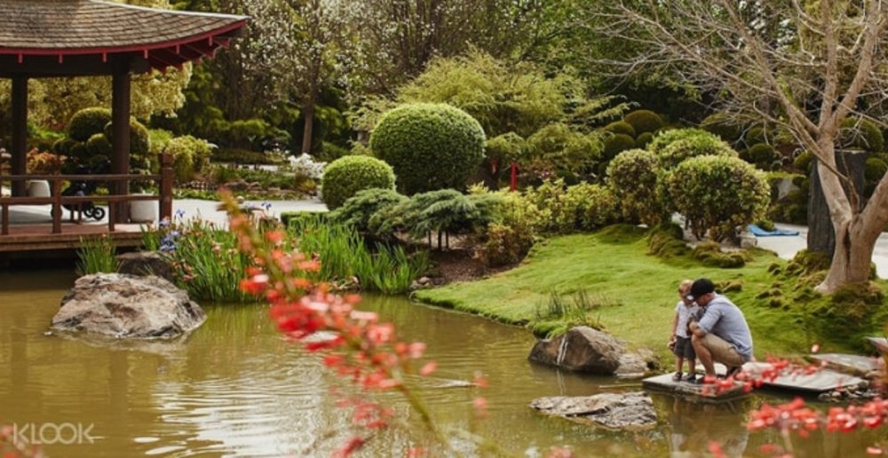 Hunter Valley Gardens