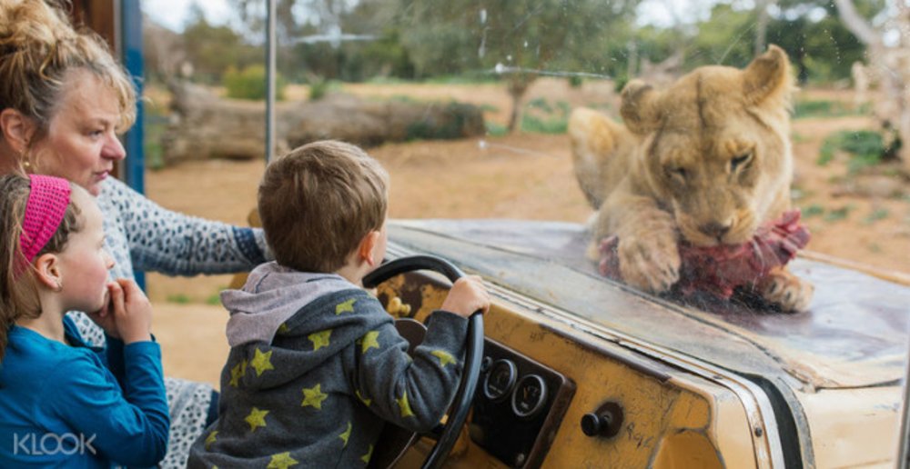 Werribee Open Range Zoo