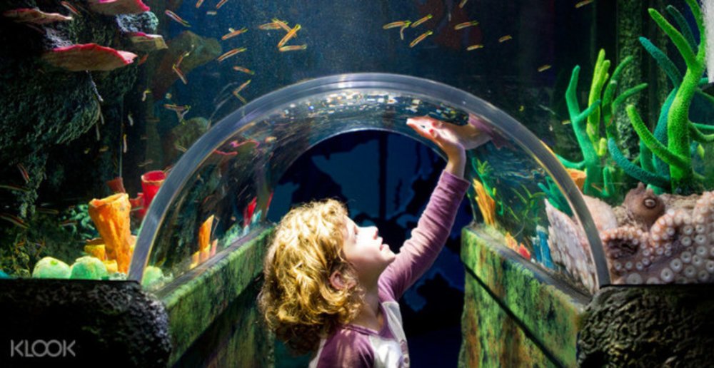 Melbourne SEA LIFE Aquarium
