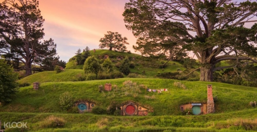 Hobbiton Movie Set Guided Tour