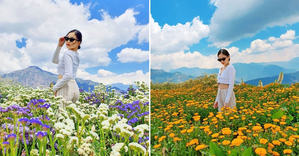 northern blossom flower farm