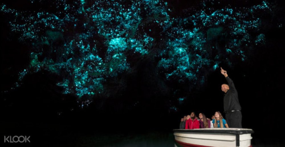 Waitomo Glowworm Caves