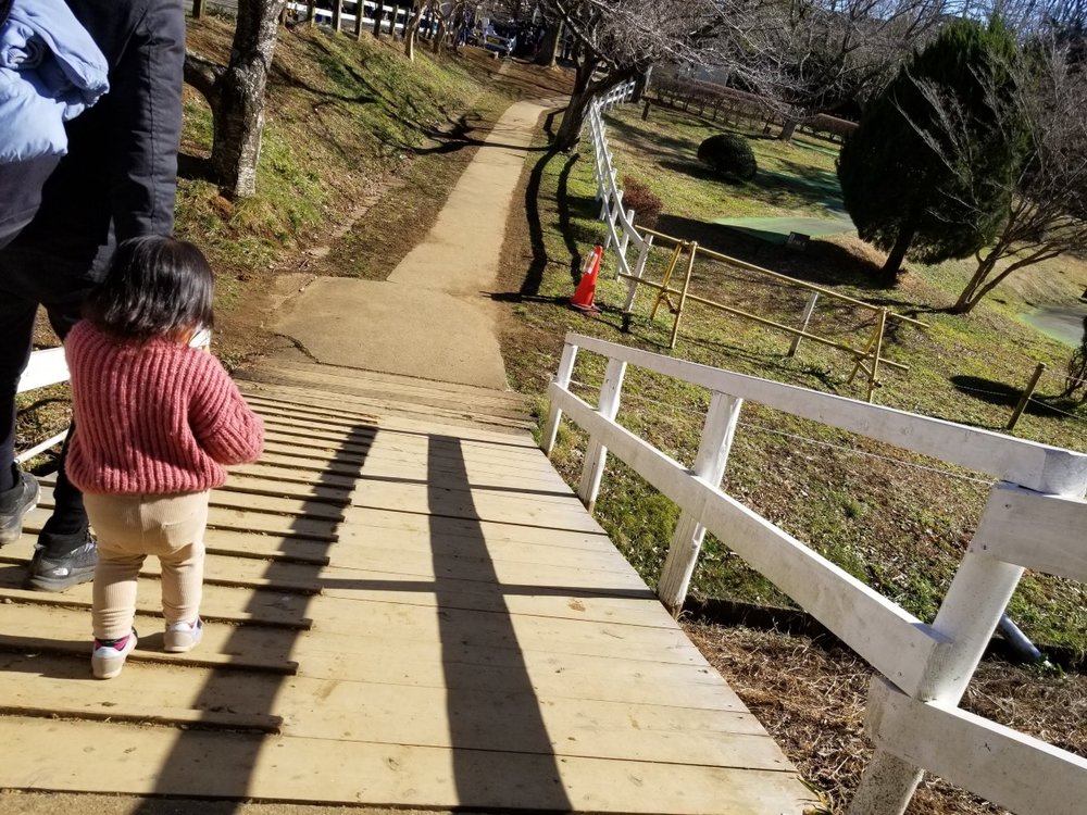 成田ゆめ牧場 坂道