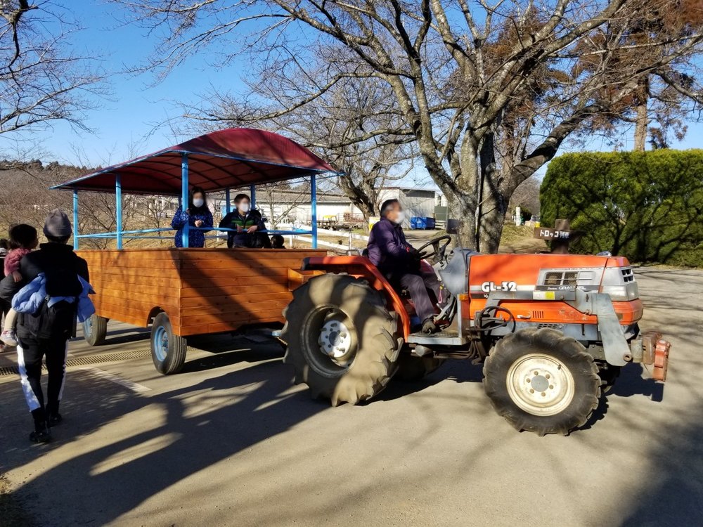 成田ゆめ牧場 トラクター