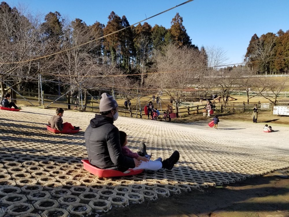 成田ゆめ牧場 芝すべり
