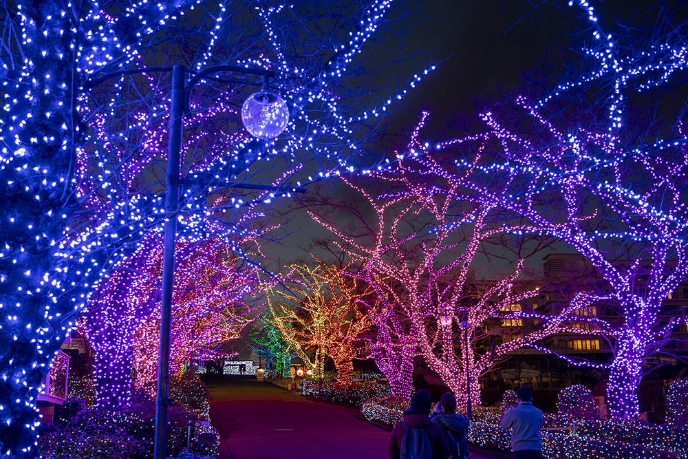 よみうりランド アクアマリン