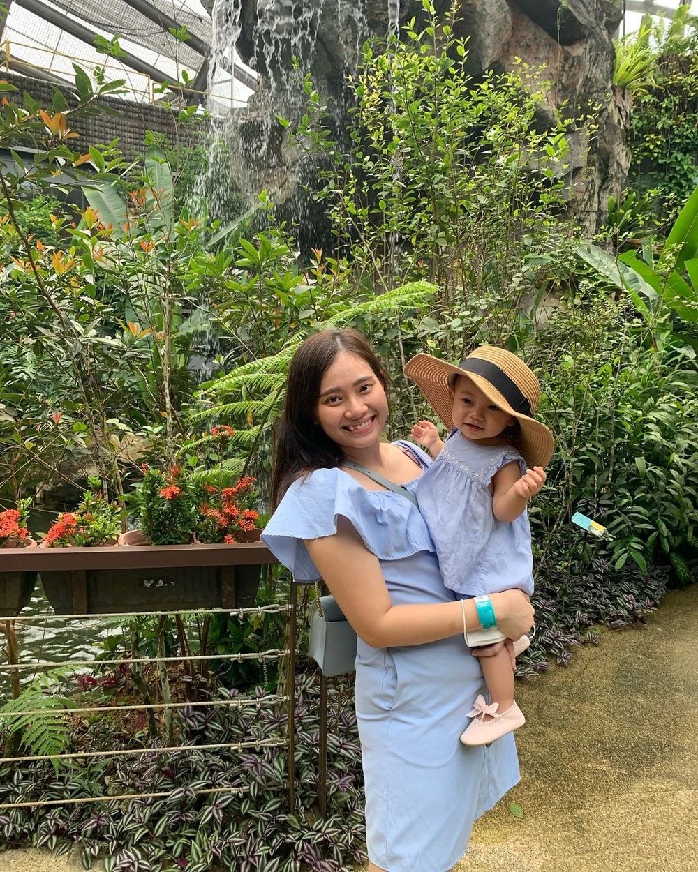 entopia penang butterfly farm things to do in penang kids family