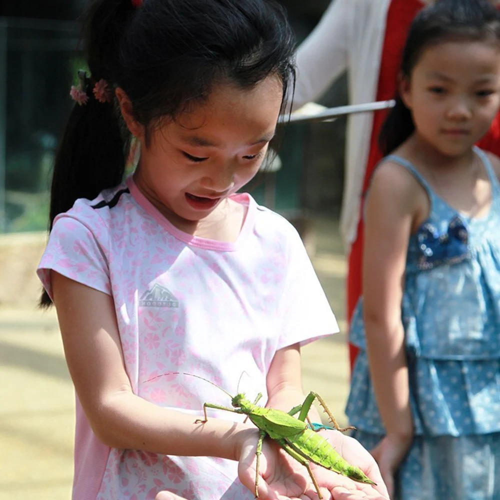 entopia penang butterfly farm kids