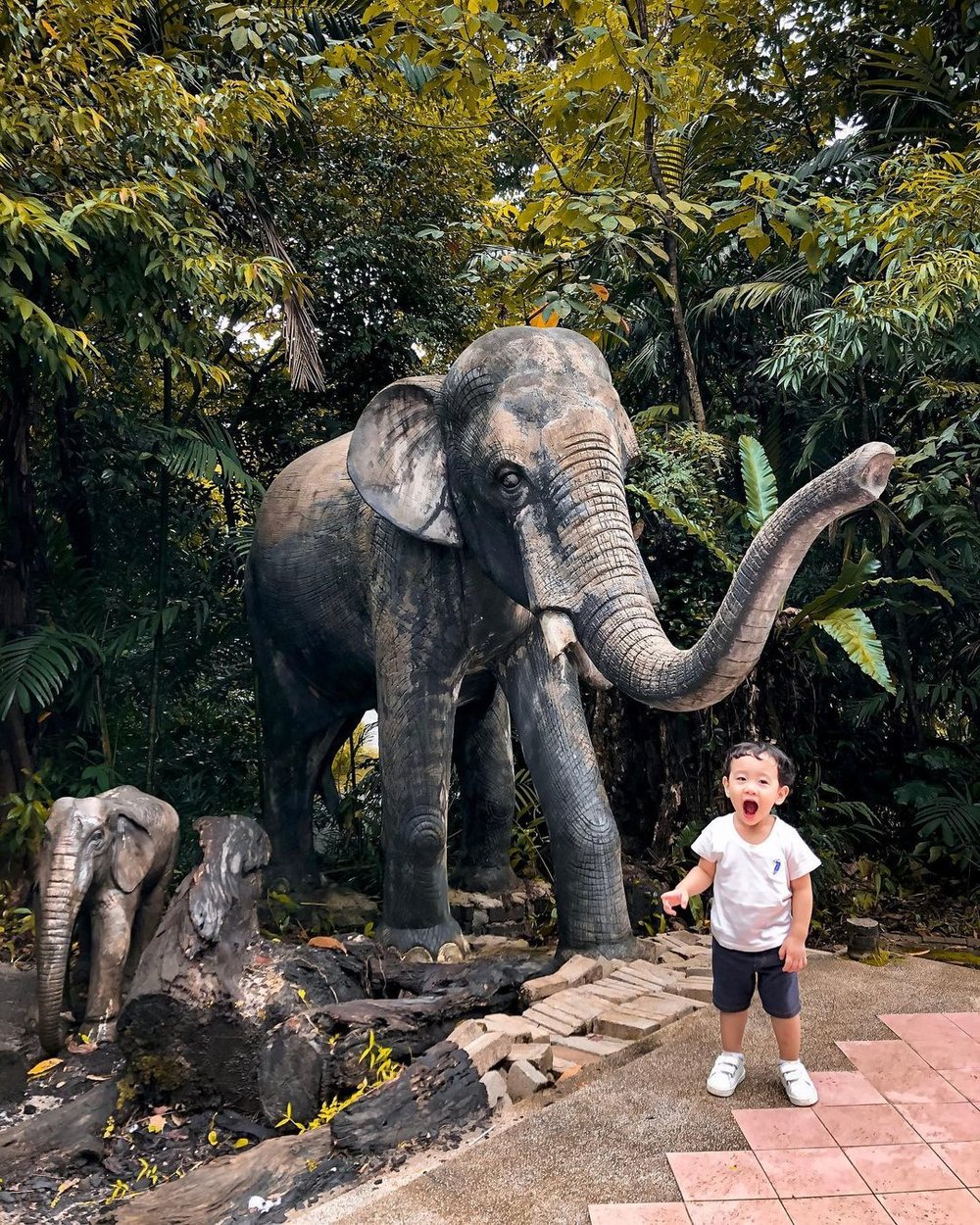 zoo negara visit guide exhibits ticket