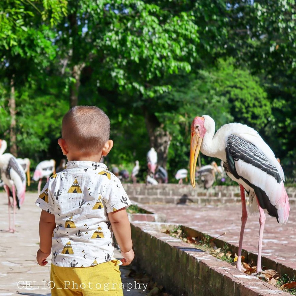 zoo negara visit guide exhibits ticket