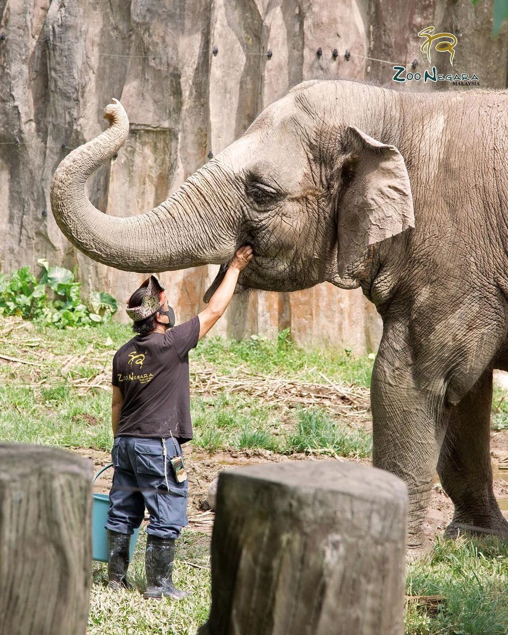 zoo negara visit guide exhibits ticket elephants