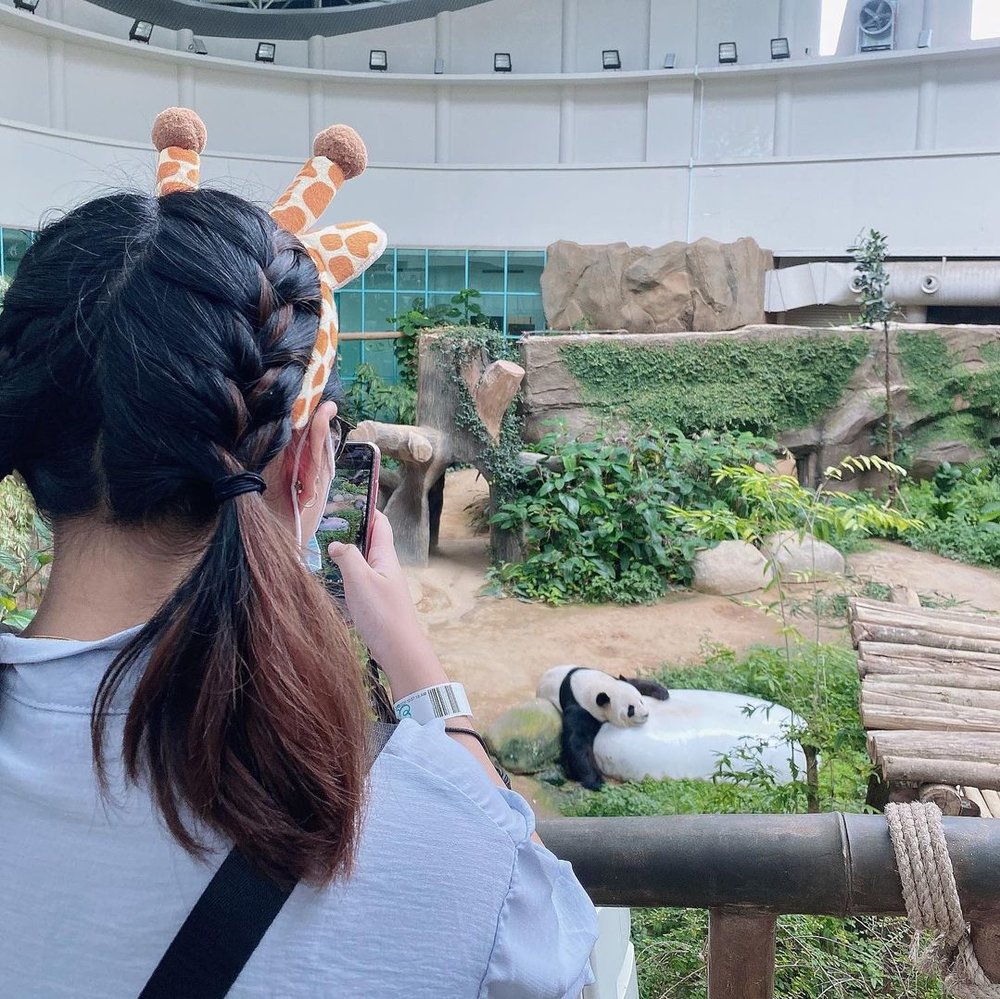 zoo negara exhibits visit review guide panda
