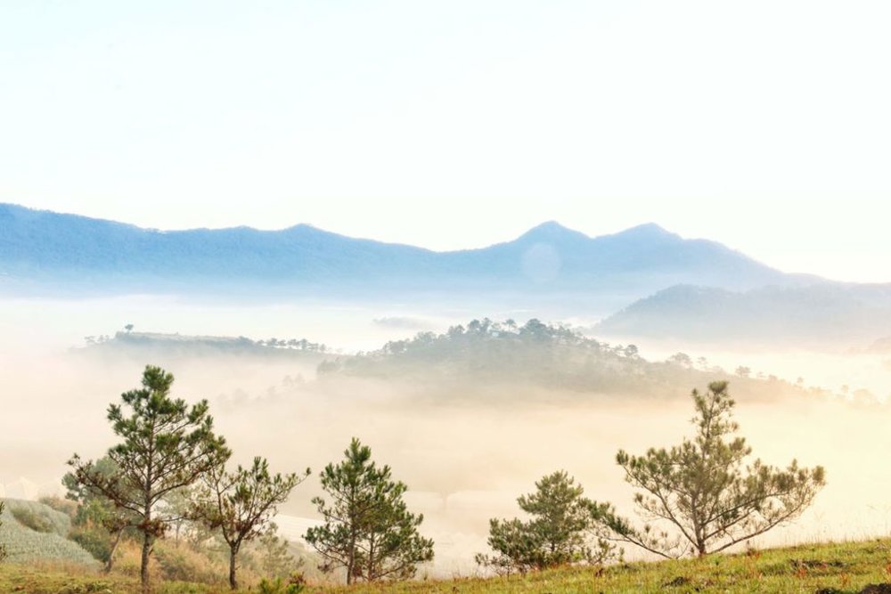 doi-thien-phuc-duc-da-lat-co-gi-choi