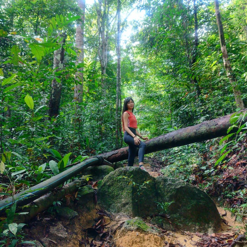 Teluk Bahang Forest Eco Park Penang outdoor activity