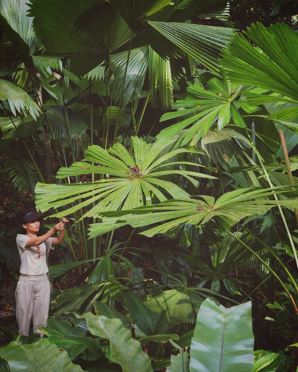 Tropical Spice Garden Penang outdoor activity
