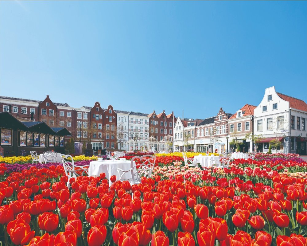 チューリップ祭の見ごろは？