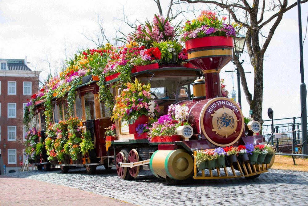 フラワーフェスティバル