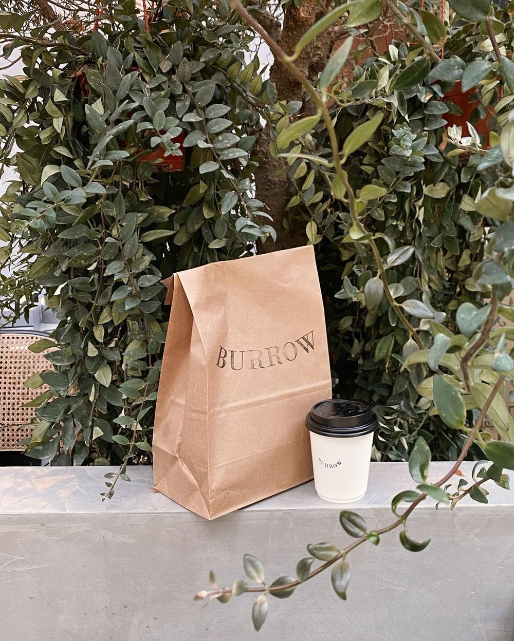 Burrow BSC Best Coffee In KL & PJ