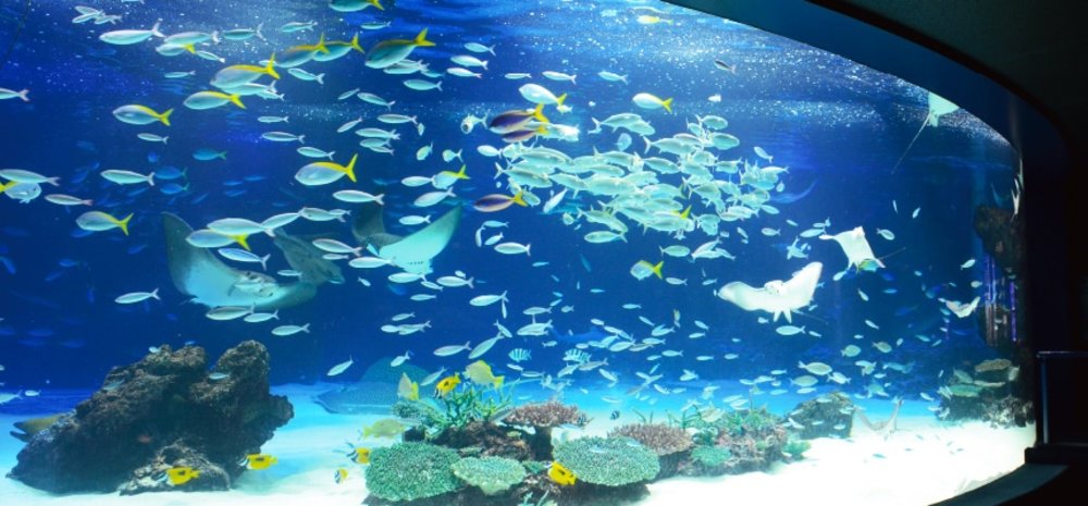 サンシャイン水族館