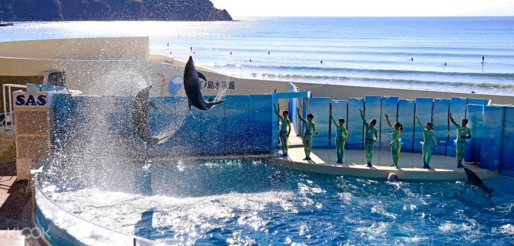 新江ノ島水族館