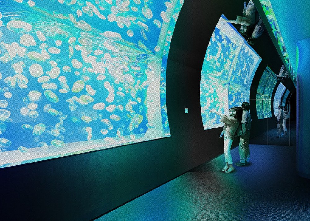 アクアワールド 茨城県大洗水族館