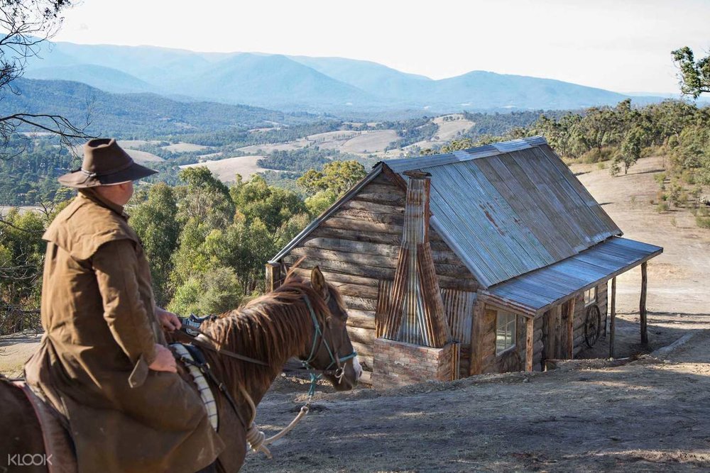 Yarra Valley horse trail