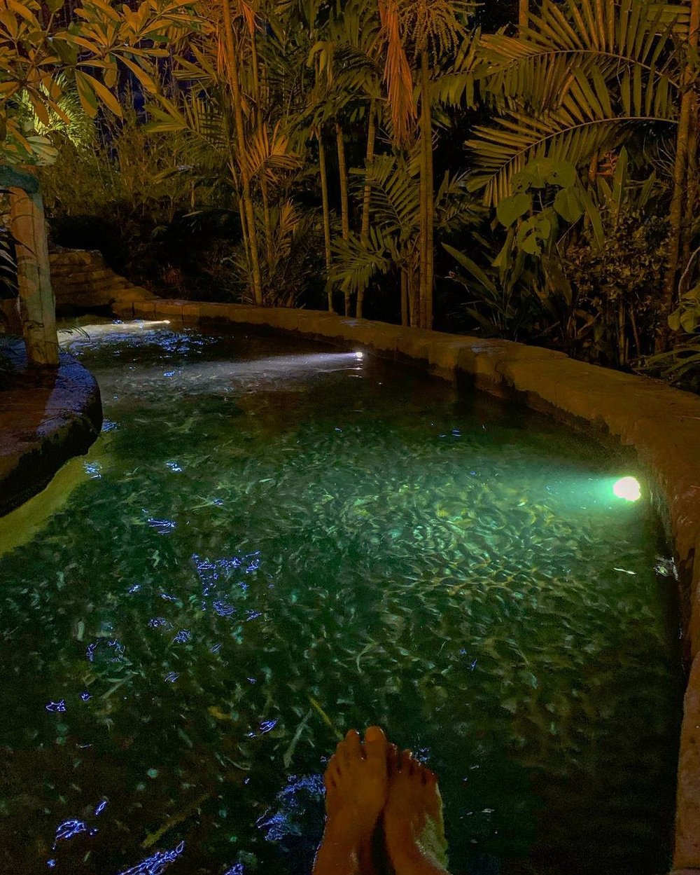 Foot Spa Lost World Of Tambun Hot Springs