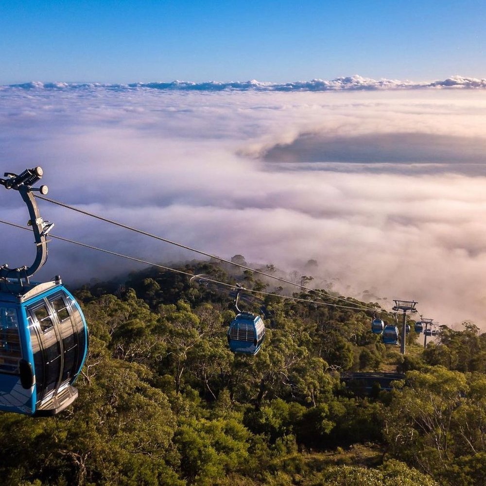 Image credits - @rishinghighmedia | The amazing view atop Arthurs Seat Eagle Gondola