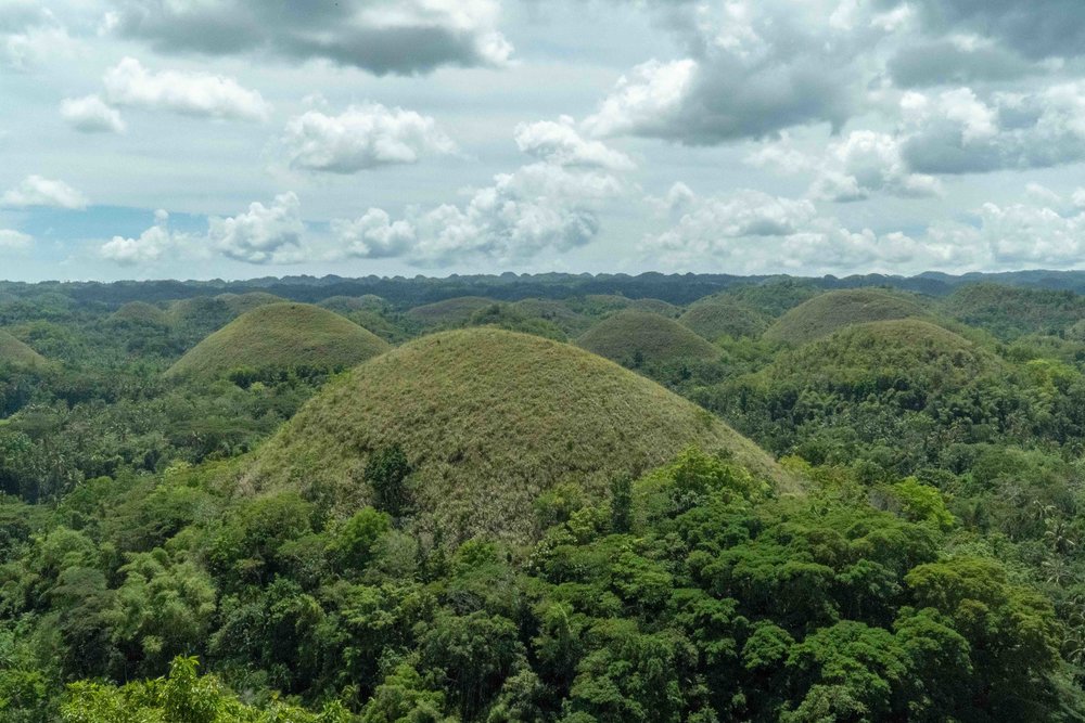 UPDATED StepbyStep Guide to Travelling to Bohol (2021) Requirements