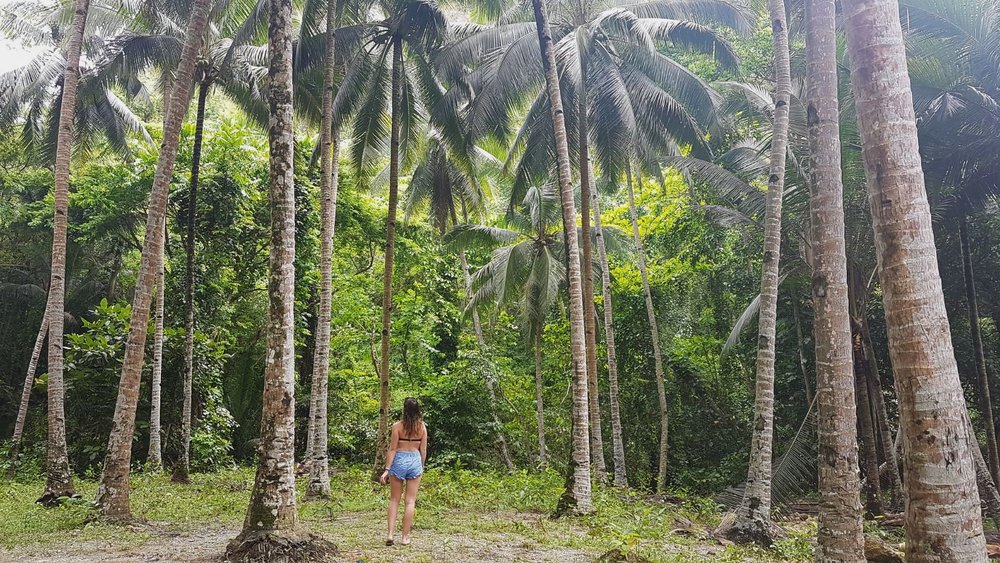 UPDATED StepbyStep Guide to Travelling to Bohol (2021) Requirements