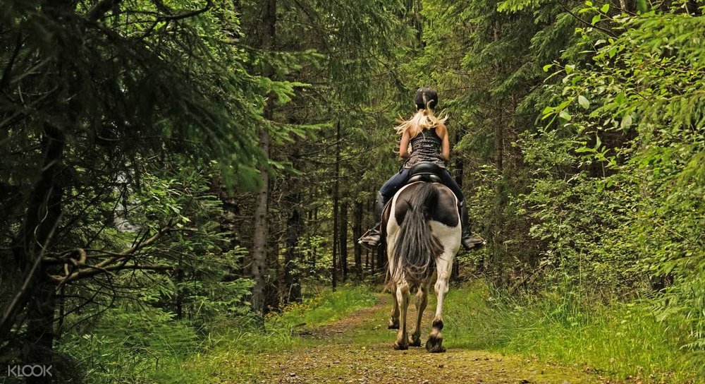 Ever tried horse riding in the bush?