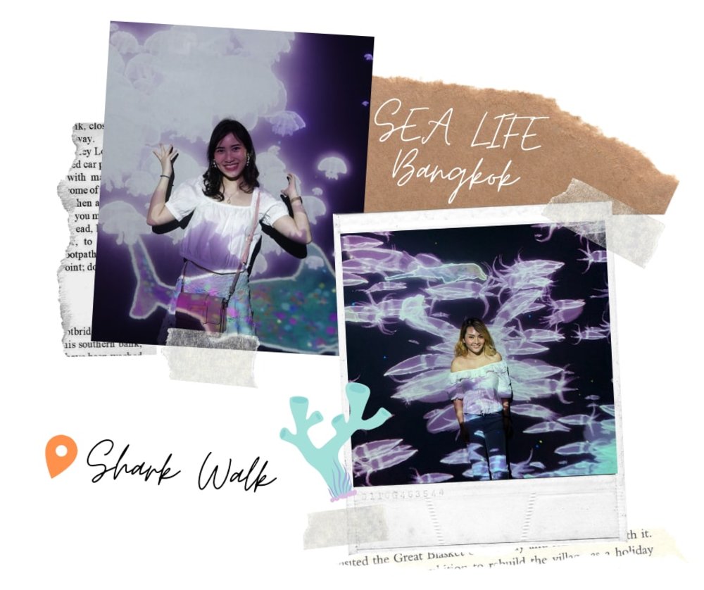 บัตรเข้า SEA LIFE Bangkok