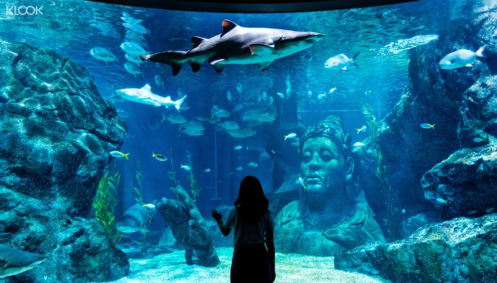 บัตรเข้า SEA LIFE Bangkok